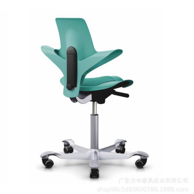 Ergonomic Saddle Stool with Lumbar Support for Office and Study
