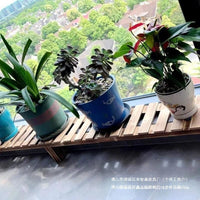 Solid Wood & Stainless Steel Window Sill Plant Stand for Balcony & Indoor Use, Adjustable Height