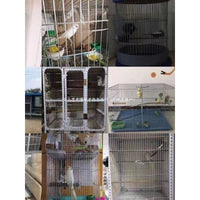 Galvanized Welded Wire Mesh for Animal Cages and Fencing