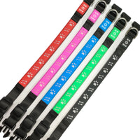 Luminous Pet Collar with Bone & Paw Print Design for Dogs, Glowing Necklace Leash