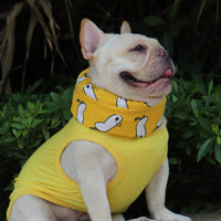 Pet Cooling Scarf for Dogs, Summer Heat Relief Ice Collar for French Bulldogs Pugs