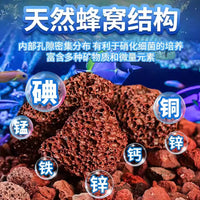 Volcanic Rock Aquarium Substrate for Fish Tanks, Filter Media, and Landscaping
