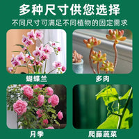 Plant Support Stakes for Potted Flowers and Shrubs, Rust-Resistant Coated Iron Garden Supports
