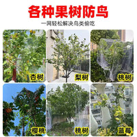 Orchard Bird Netting for Fruit Trees and Vegetable Gardens