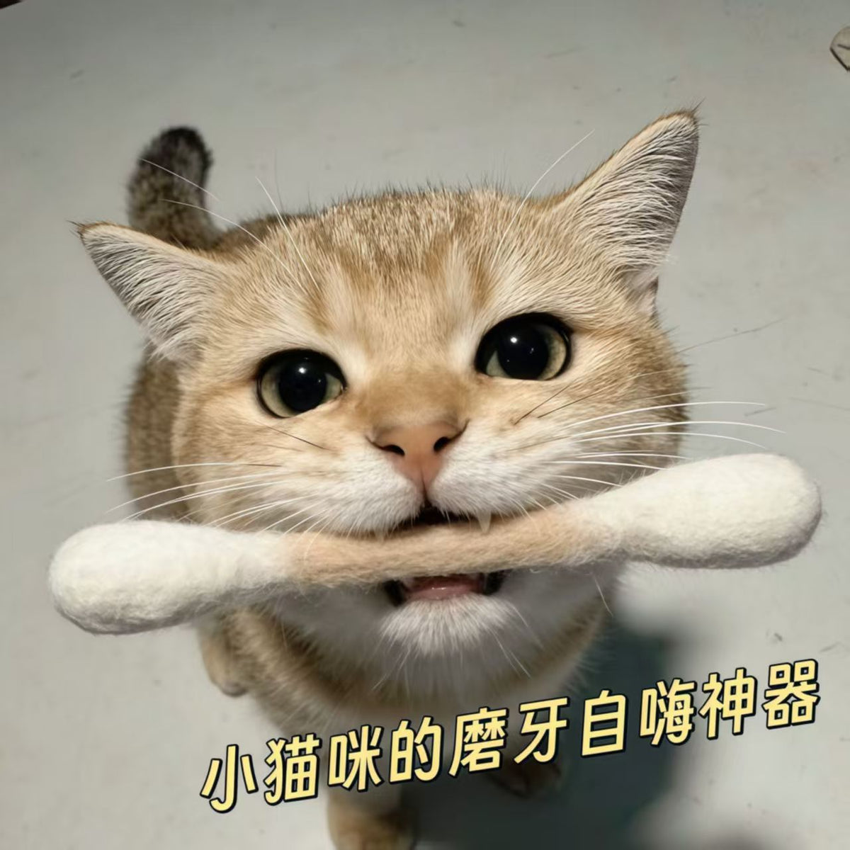 Catnip Infused 100% Pure Wool Cotton Swab Cat Toy for Teeth Cleaning and Self-Amusement