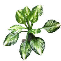 Artificial Hosta Leaf Green Wall Decor for Balcony & Indoor Vertical Gardens
