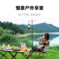 Portable Aluminum Alloy Camping Lantern Stand with Ground Stake and Storage Bag
