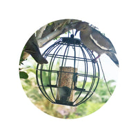 Lantern Metal Bird Feeder with PC Tube for Outdoor Hanging, Squirrel-Proof Hummingbird Feeder