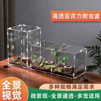 Acrylic Reptile Breeding Box Transparent Terrarium for Insects and Small Pets