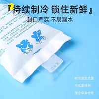 Disposable Water Injection Ice Pack for Food Preservation and Cooling Transport