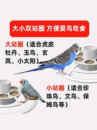 Cloud Tray Bird Feeder with Splash Guard and Automatic Dispenser for Parrots and Outdoor Birds