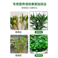 Hydroponic Plant Nutrient Solution for Indoor Potted Plants, Universal Liquid Fertilizer