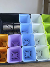 Seedling Tray with 20 Cells and Optional Humidity Dome for Succulents and Plant Propagation
