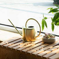 European Style Stainless Steel Watering Can for Indoor & Outdoor Plants, 1.2L