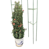 Adjustable Plant Support Stakes for Tomatoes, Cucumbers, and Climbing Vines