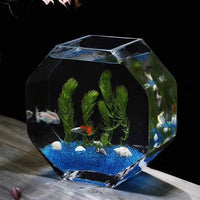 Creative Thickened Glass Desktop Fish Tank for Hydroponics and Landscaping