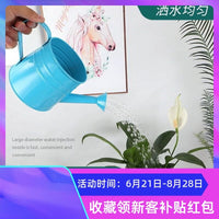 Garden Watering Can with Lid for Indoor and Outdoor Plants