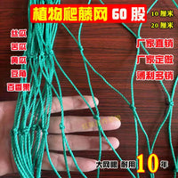 Plant Trellis Netting for Climbing Vegetables and Fruits