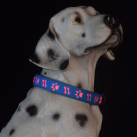 Luminous Pet Collar with Bone & Paw Print Design for Dogs, Glowing Necklace Leash
