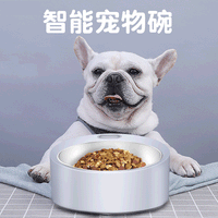 Smart Pet Food Scale Bowl for Cats and Dogs - Health Monitoring Feeder