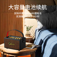 Cyboris Portable Karaoke Wireless Bluetooth Speaker with Microphone, Retro FM Radio for Home and Outdoor Use