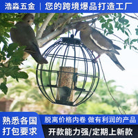 Lantern Metal Bird Feeder with PC Tube for Outdoor Hanging, Squirrel-Proof Hummingbird Feeder