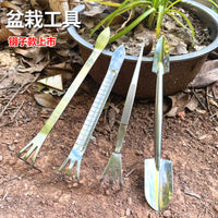 Stainless Steel Bonsai Tool Set for Soil Loosening and Fertilizing