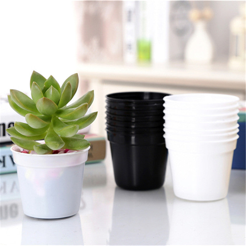 Plastic Nursery Pots for Seedlings and Succulents - White and Black Small Round Planters