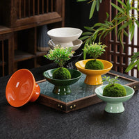 Ceramic Moss Ball Planter with Tray - Desktop Hydroponic Bonsai Vessel