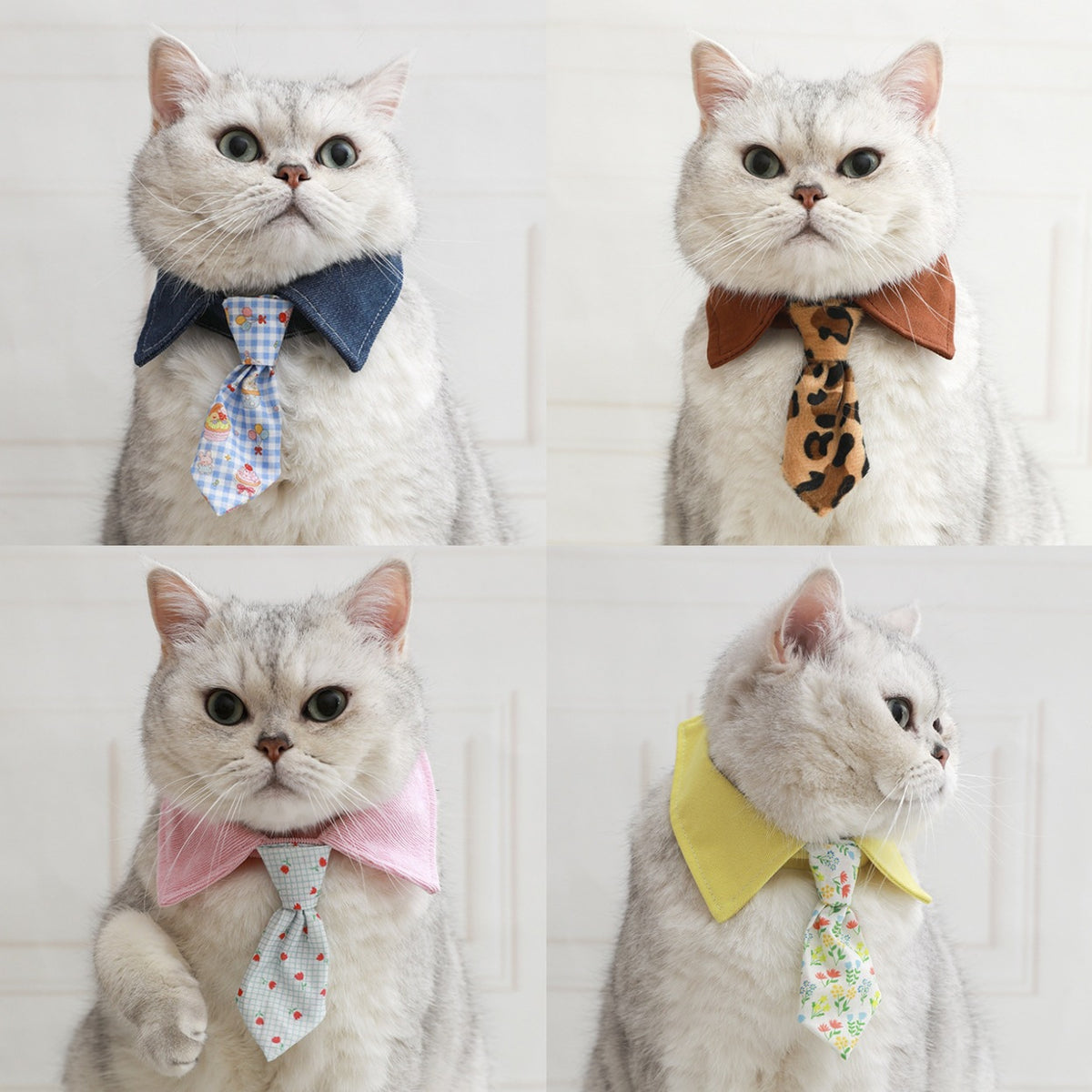 Pet Cat Dog Bow Tie Collar with Adjustable Necktie for Small to Medium Breeds