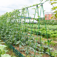 Coated Steel Plant Support Stakes for Climbing Plants, Garden Trellis for Vegetables and Flowers