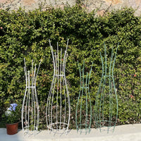 Garden Metal Plant Climbing Trellis for Clematis Roses and Vines