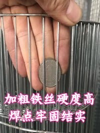 Galvanized Welded Wire Mesh Fence for Animal Enclosures and DIY Cages
