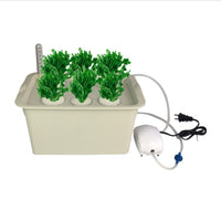 Hydroponic Growing System for Home Balcony Vegetable Cultivation