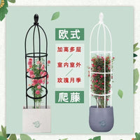 Climbing Plant Trellis for Clematis Roses Indoor Potted Plants