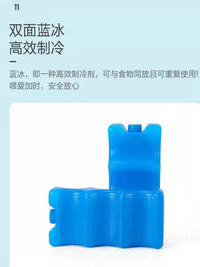 Double-Layer Breast Milk Cooler Bag with Ice Packs for Pumping Moms