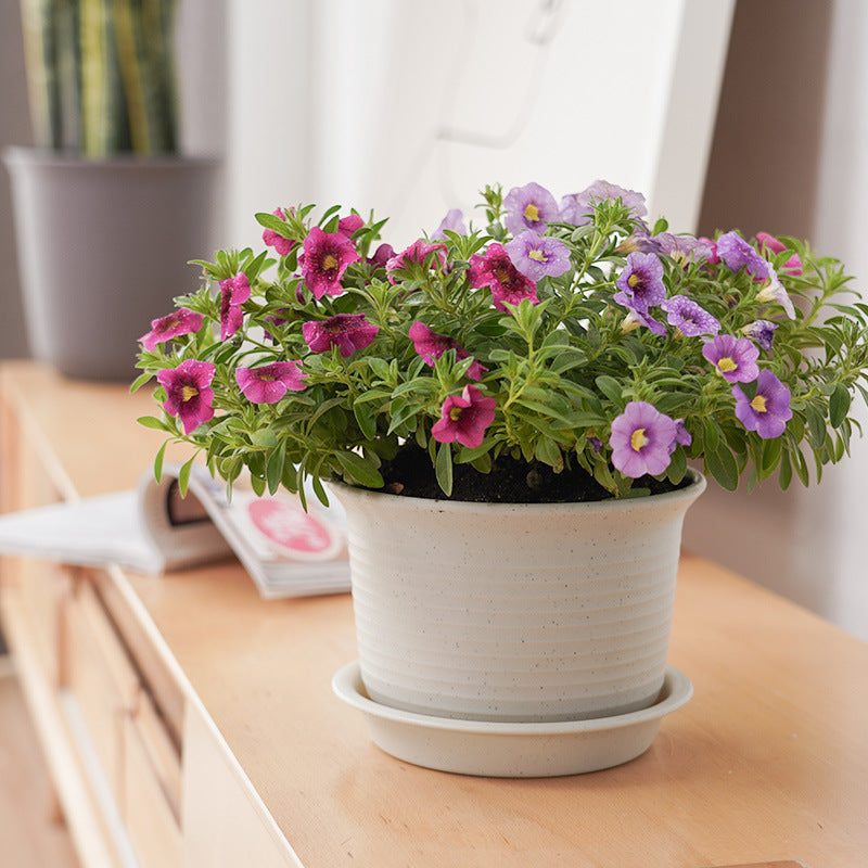 Thickened Round Plastic Plant Pot for Balcony Gardening, Succulents, and Green Plants