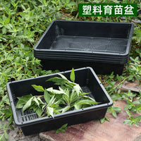 Rectangular Plastic Seedling Tray with Drainage Holes, Thickened Nursery Germination Planter for Rice, Sprouts, and Seeds