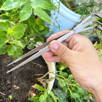 Stainless Steel Bonsai Tool Set for Soil Loosening and Fertilizing