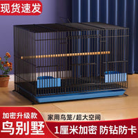 Foldable Square Bird Cage for Home Use, Portable Breeding & Transport Cage for Mynah, Lovebirds