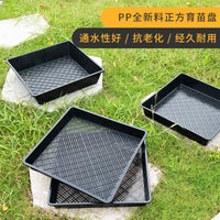 Square Succulent Seedling Tray Plastic Plant Pot Organizer