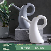 Long Spout Watering Can for Indoor Plants & Gardening