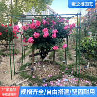 Garden Plant Support Stakes for Climbing Vines, Coated Steel Pipe Trellis for Passion Fruit, Cucumber, Loofah, Clematis
