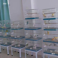 Bird Cage Stand Heavy Duty Metal Rack with Storage Shelf for Pet Birds