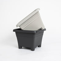 Universal Plastic Square Bulb Planter for Hyacinths, Lilies, and Oxalis