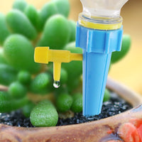 Automatic Plant Watering Spikes for Potted Plants and Succulents