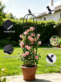 Garden Trellis for Climbing Plants, Round Iron Art Support for Roses, Clematis, and Pothos, Outdoor Plant Climbing Frame