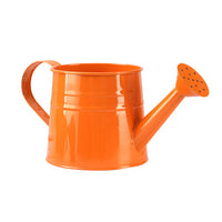 Galvanized Iron Watering Can for Garden and Home Plants, Colorful Sprinkler Pot
