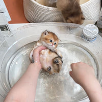 Pet Cat Dog Bathtub Anti-Splash Washing Basin for Small Animals