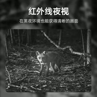 dtupHV13 Infrared Trail Camera for Wildlife Detection with Night Vision and Weatherproof Design